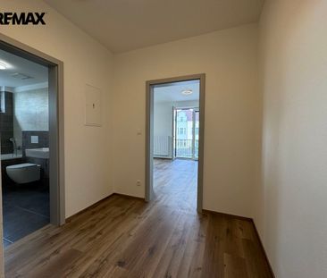 Pronájem bytu 1+kk v osobním vlastnictví 38 m², Dobřany - Fotografie 1