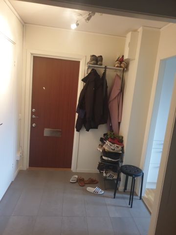 Ekonomstråket, Umeå - Photo 2