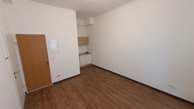 Gemütliche 1-Zimmerwohnung in ruhiger Lage mit Gartenmitbenutzung - Foto 1