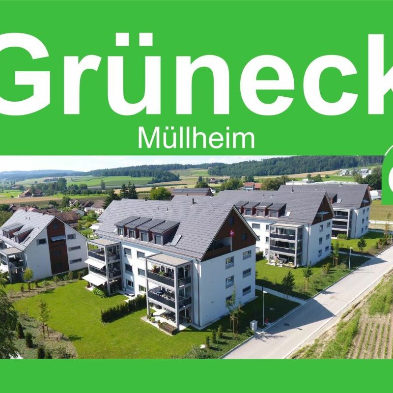 Wohnpark "untere Grüneck" in 8555 Müllheim - Photo 1