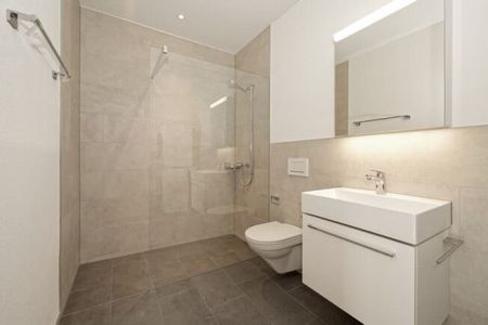 Appartement nouvellement construit dans un emplacement fantastique directement au bord du lac à Rapperswil-Jona - Photo 2