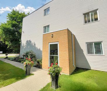 Tillson Apts 1 - ALL INCLUSIVE - Photo 3