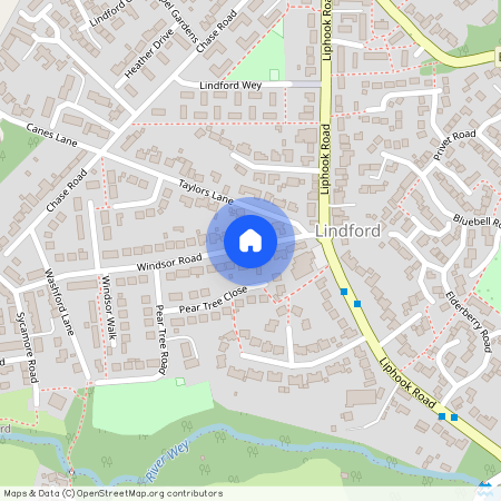 Windsor Road, Lindford GU35 0RZ