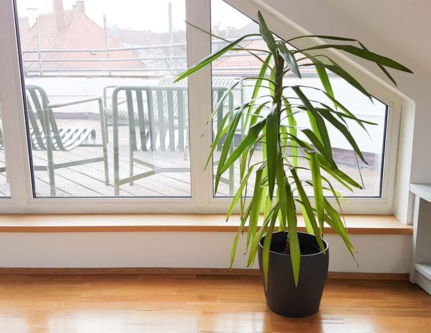 Kamin Room 6 Standard+ - Photo 1