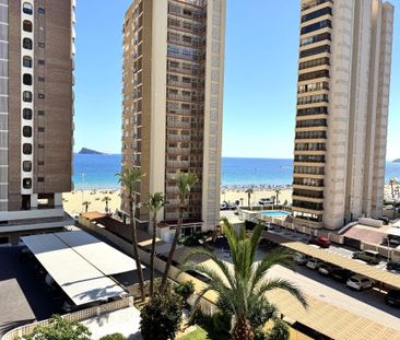 Apartamento en Benidorm, Playa Levante, alquiler - Photo 5