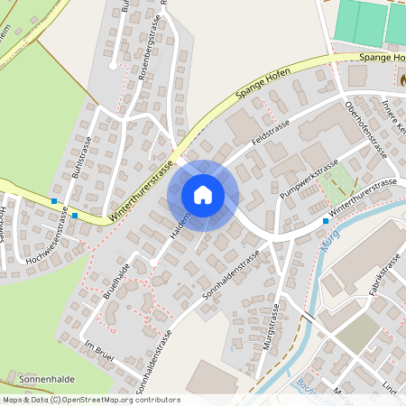 Haldenstrasse 1, 8370, Sirnach