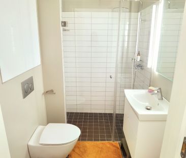 Classic beautiful apartment near the City Hall and Tivoli - Photo 6