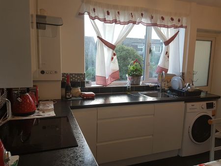 3 Bed Semi-Detached House, Richardson Road, LS9 - Photo 3