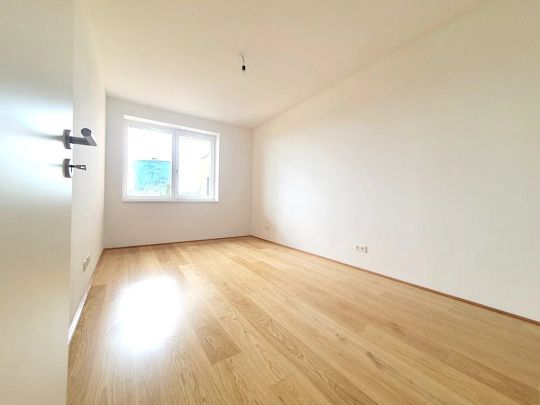 Einzigartiger Ausblick beim grünen Prater und Stadion Center - Photo 1