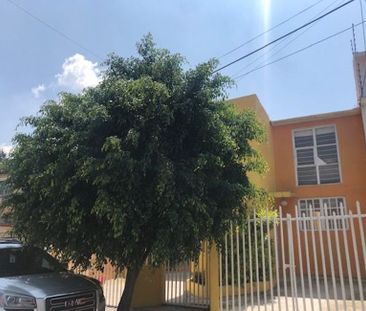 Jacaradas: Departamento en ¨Panta Baja - Photo 3