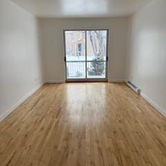 Grand 4 1/2 rez de chaussé - Photo 1