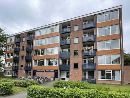 Te huur: Appartement Lingestraat in Deventer - Foto 3