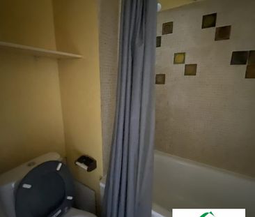 STUDIO EN PLEIN CENTRE -VILLE - Photo 5