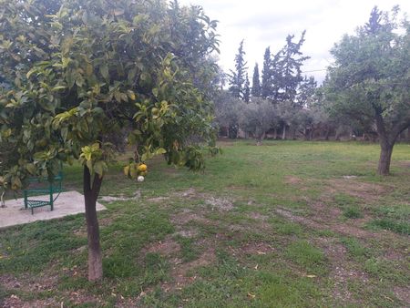 Διαμέρισμα για ενοικίαση Ποσειδωνία (Ανθηδώνος) - Photo 5
