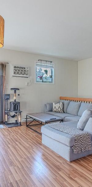 Vraiment belle appartement à louer - 56 rue de l'Emerald #2 - Photo 1