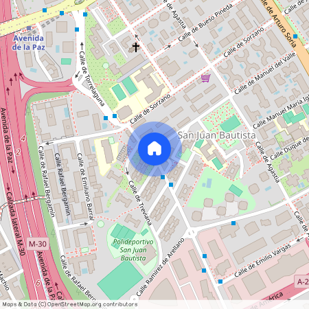 Calle de Torrelaguna, Madrid, Community of Madrid 28043