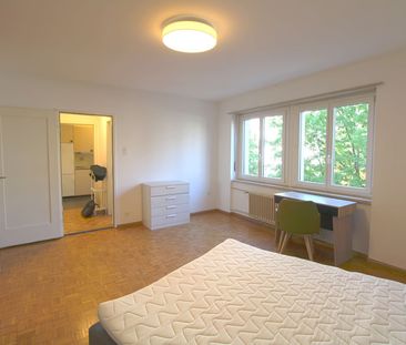 1 Zimmer, 24 m², 2. Stock - Photo 4