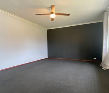 Charming and Charismatic! - Photo 5