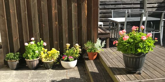 Amiralitetstorget, Karlskrona - Photo 3