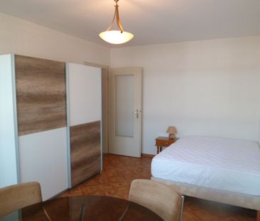 Location Appartement 1 pièce 29m² - Photo 5