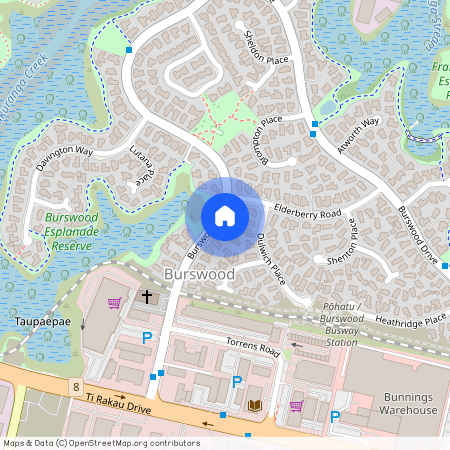 184 Burswood Drive, Burswood, Manukau City