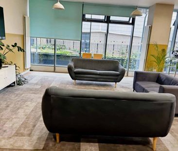 Medium Highest Double Studio - Photo 3