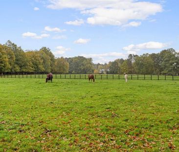 3 bedroom house to rent - Photo 5