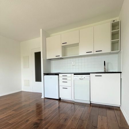 Location Appartement 1 pièce 23m² ONET LE CHATEAU 12850 - Photo 4
