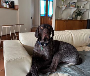 Clifton Beach - Photo 1