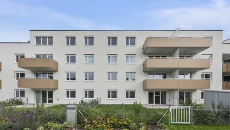 2620 Neunkirchen, Dr. Stockhammergasse 8, Bauteil 1 - Photo 3