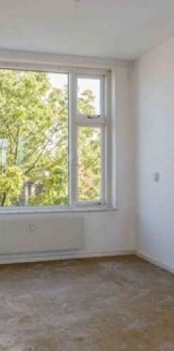 Cederstraat, 2404 Alphen aan den Rijn, Nederland - Foto 1