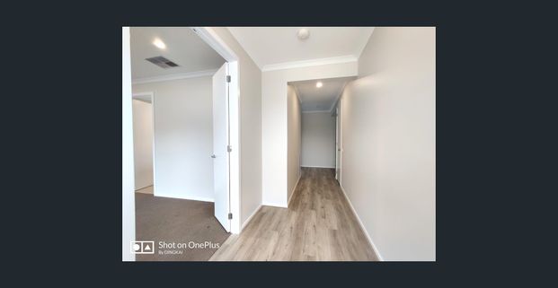 High Quality 4 Bedroom 2 Living Area House! - Photo 1