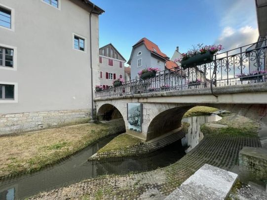 2.5 rooms furnished, short or long term, TV, bluewin TV, WIFI – from May 2026 - Photo 1