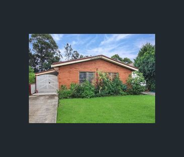 8/226 Shellharbour Road, Warilla, NSW 2528 - Photo 4