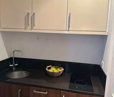 Studio Flat, Birkbeck Road, W3 - Photo 6