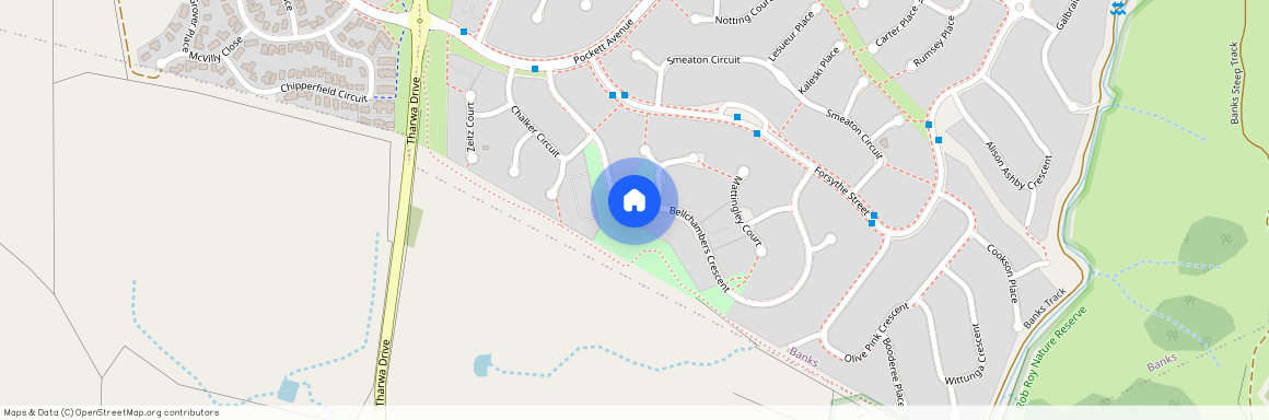 32A Bellchambers Crescent, 2906, Banks