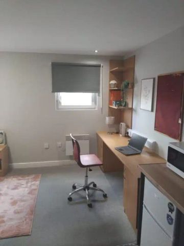 Deluxe Plus Studio - Photo 4