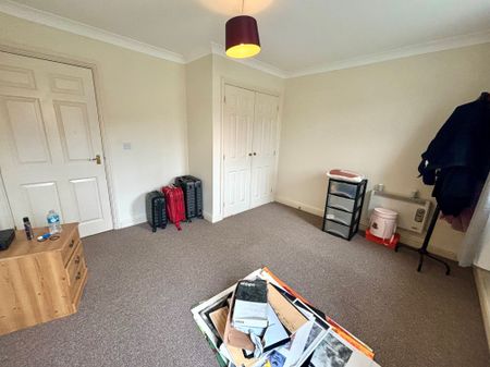 Hazel Covert, Thetford - Photo 4