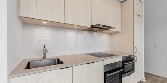 Brand New Deluxe Corner Suite In The Heart Of The St. Lawrence Market - Photo 3