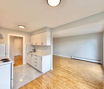 1 CH - 1 SDB - Montréal - $1,550 /mo - Photo 2