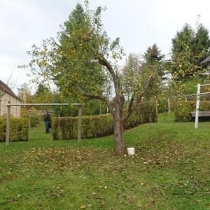 Kleine Vierraumwohnung in schöner Wohnlage - Foto 3