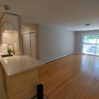 1 bdrm apartment for rent December 1 2024 $2400 - Photo 3