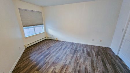1 Br + Den Beautiful Condo For Rent In Lincoln Park: Heat & Water Included. - Photo 3
