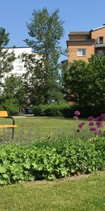 Prästgatan 32, 75228, Uppsala - Foto 3