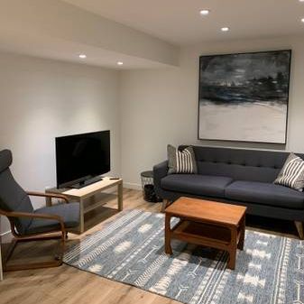 Big, bright, furnished suite - Photo 3