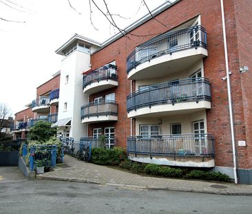 The Tenterfields, Brown Street South, Dublin 8 - Photo 3