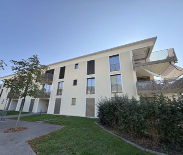 Charmante 2.0-Zimmer-Wohnung mit Gartensitzplatz in Roggwil - Photo 5