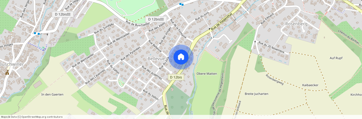 GRAND-EST, HAUT-RHIN (68), 68220, Hagenthal Le Bas