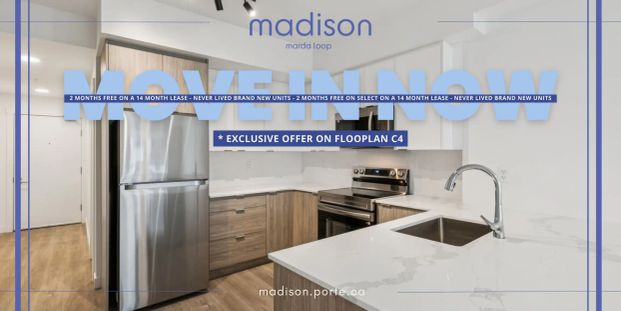 Madison Apartments — DEAL ALERT!!! 2 MONTHS FREE ON A 14 MONTH LEASE- NEVER LIVED IN BRAND NEW UNITS on this Jr 2 Bedrooms Apartment - Photo 1