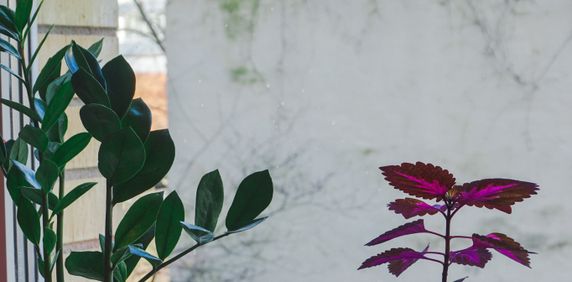 Kyrkogatan, Karlskrona - Foto 2